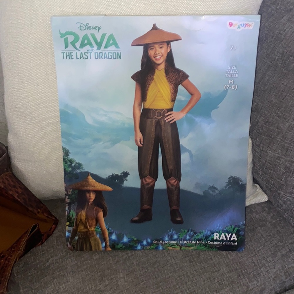 Disney Raya costume